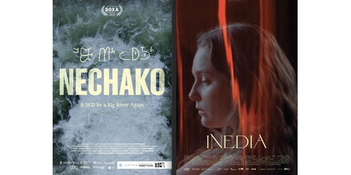 Experimental Forest releases two films thumbnail