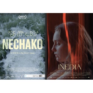 Experimental Forest releases two films thumbnail